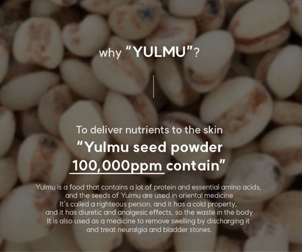 RETURNITY Yulmu (Buckwheat) Skinclean Mask Pack 120g - shipping on Apr. 22